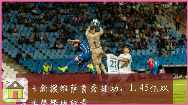 纽卡新援维萨首秀建功，1.45亿双星接替锋线职责