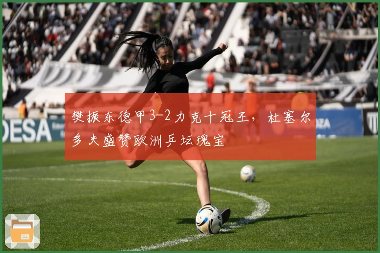 樊振东德甲3-2力克十冠王，杜塞尔多夫盛赞欧洲乒坛瑰宝