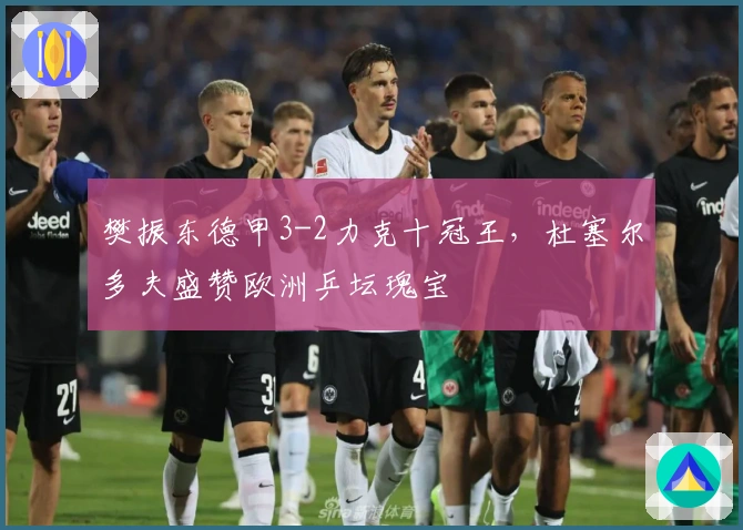 樊振东德甲3-2力克十冠王，杜塞尔多夫盛赞欧洲乒坛瑰宝